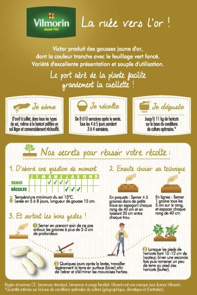 Légumes Secs - Haricot Nain Beurre Victor - 20 m - MEDIA_PACKAGING_VERSO